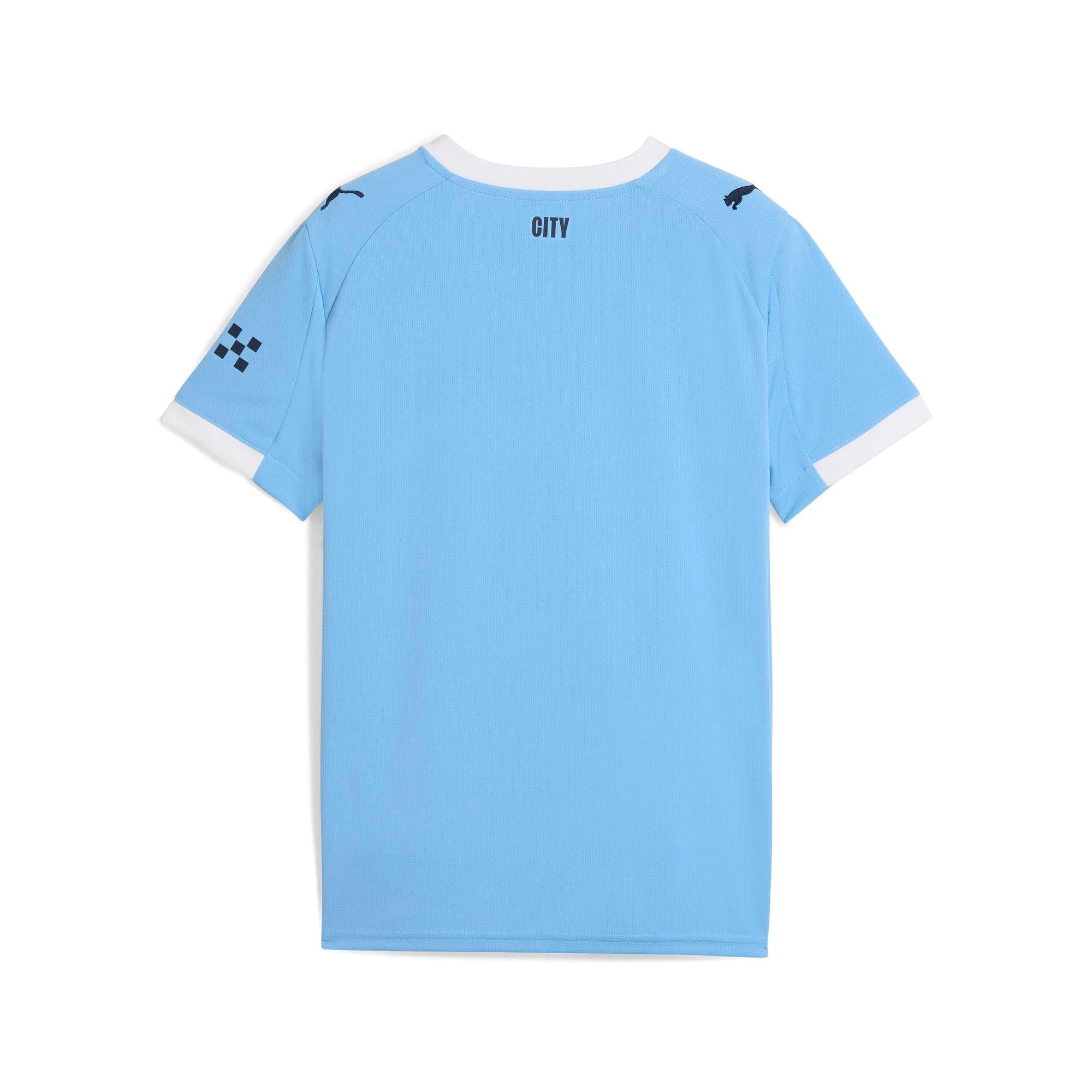 Puma Manchester City 25/26 Home Jersey Men