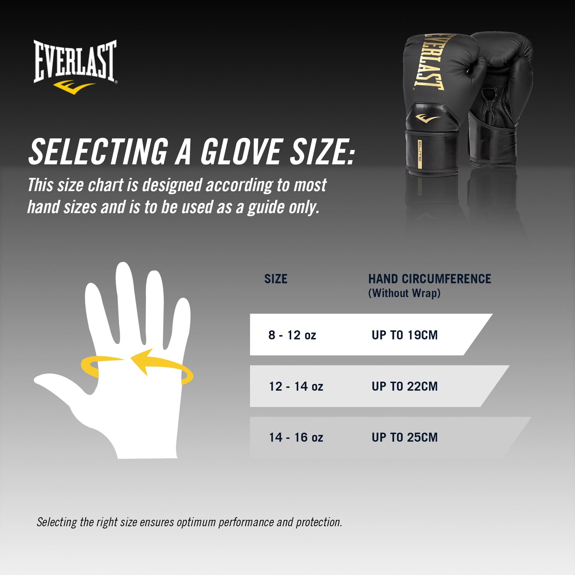 ELITE 2 BOXING GLOVES - BLACK