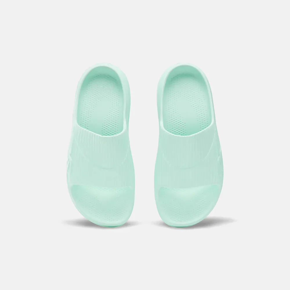 DMX Recovery Slides (4)