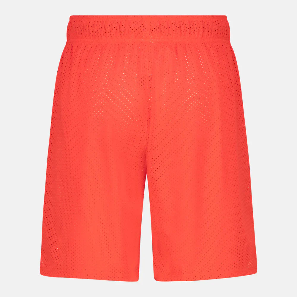 Reebok Basketball Mesh Shorts