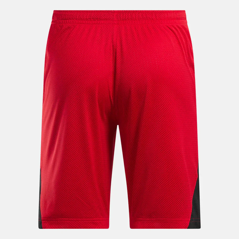 Above The Rim Hoopwear Shorts (4)