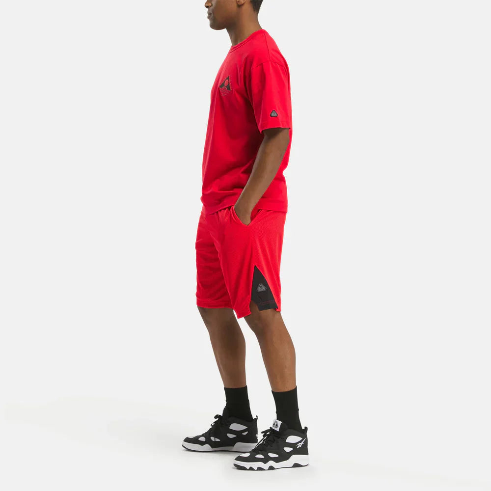 Above The Rim Hoopwear Shorts (2)