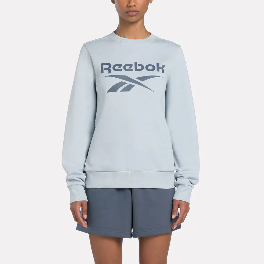 Reebok Identity Big Logo Fleece Crew Sweatshirt