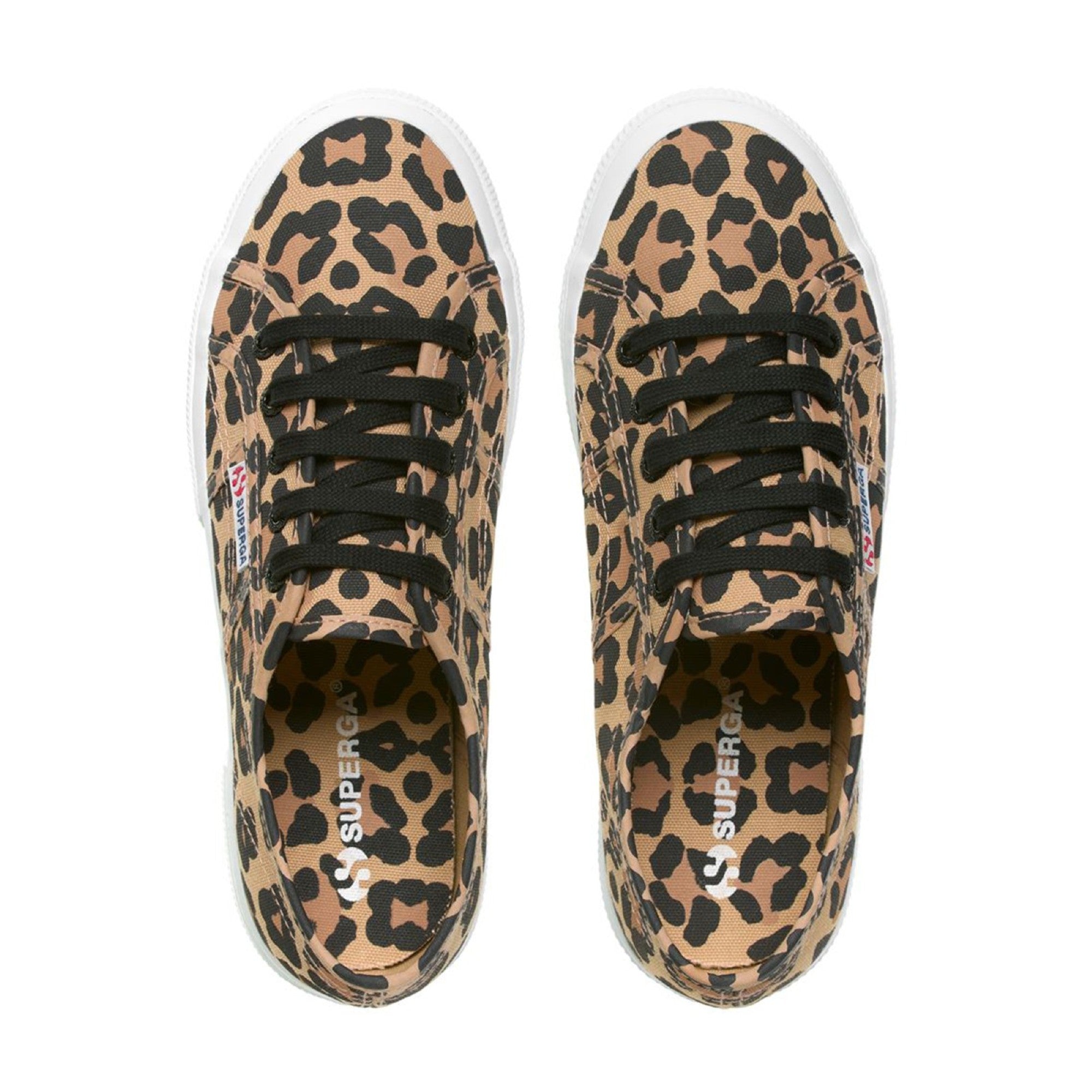 2750 Fantcotw - Big Classic Leopard