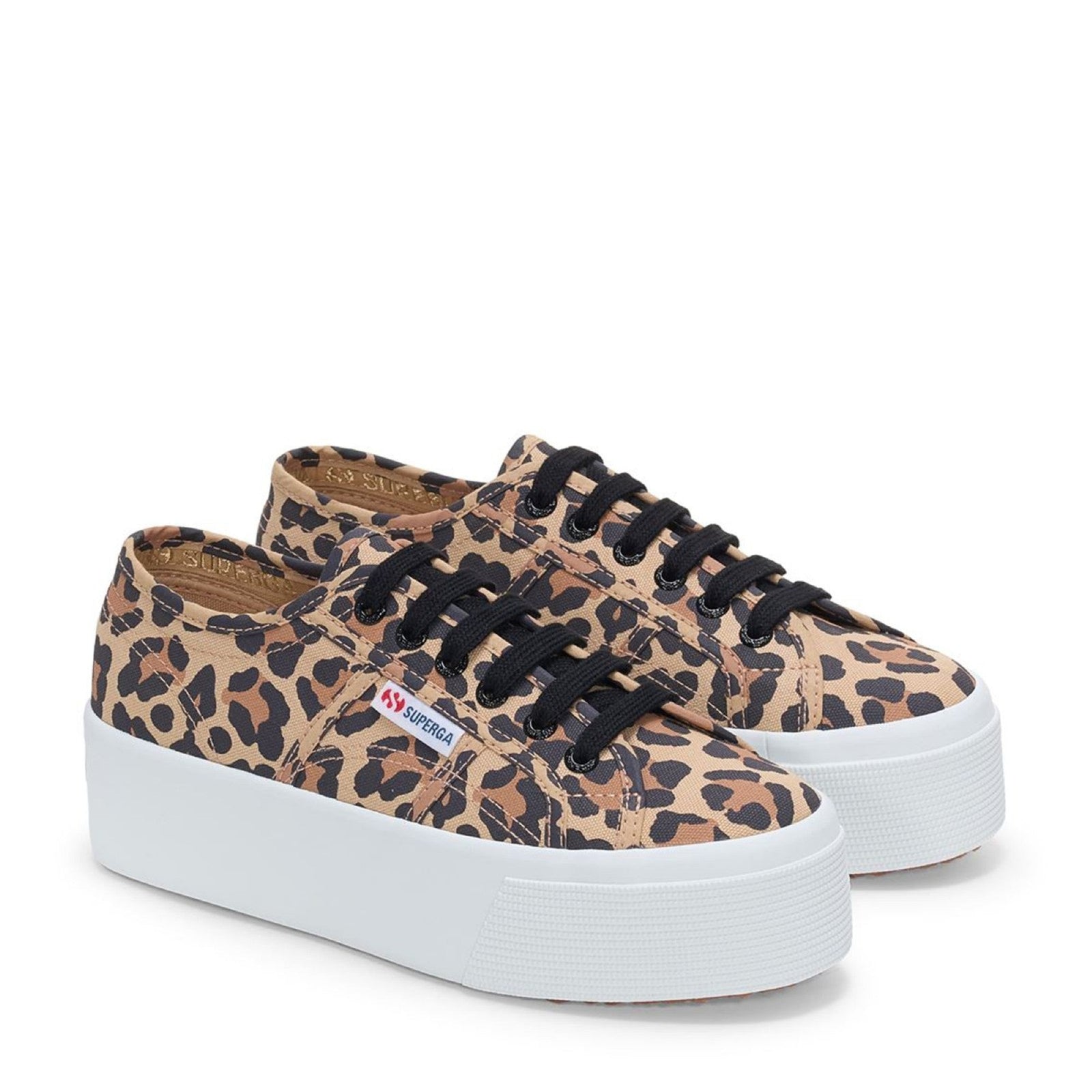 2790 Print - Big Classic Leopard