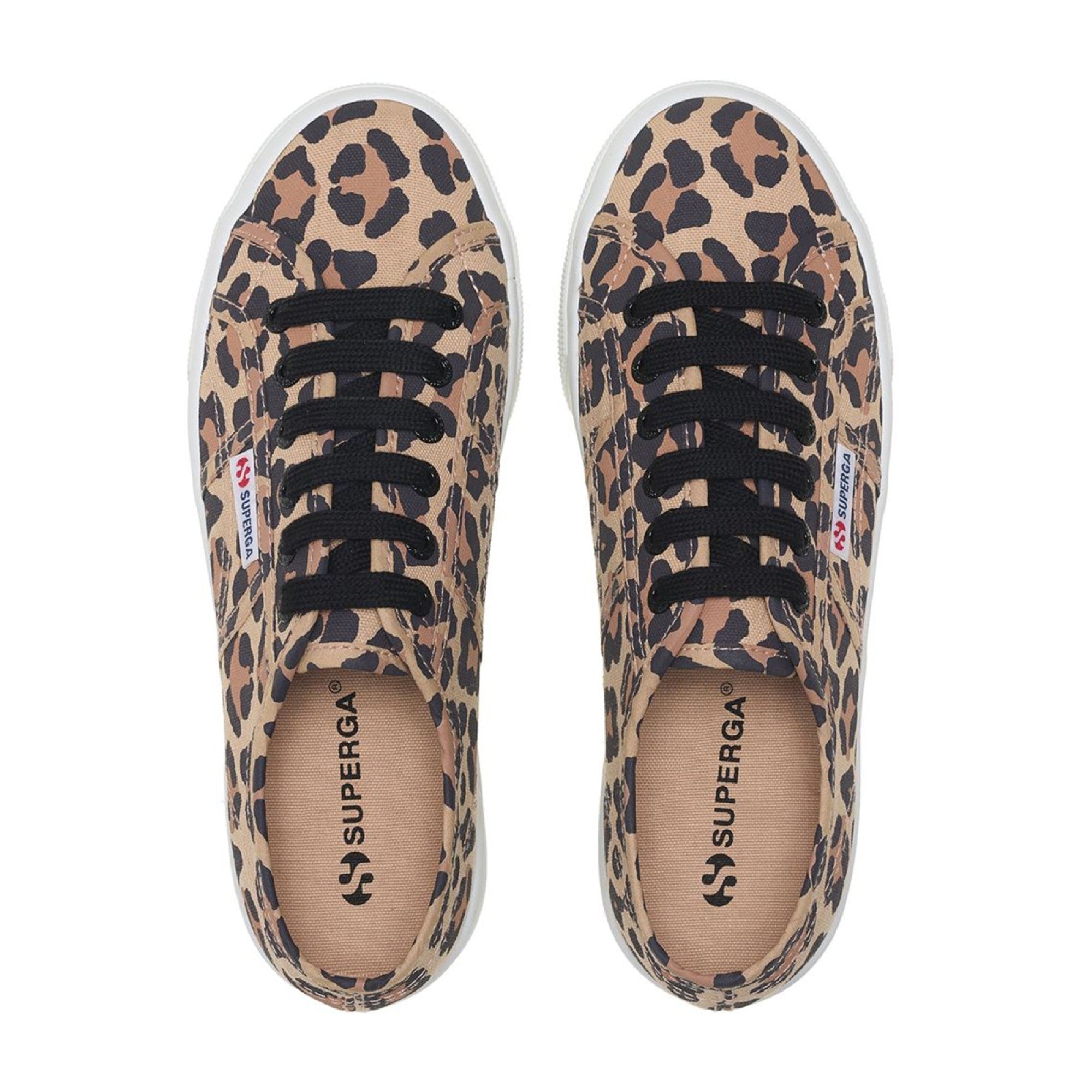 2790 Print - Big Classic Leopard